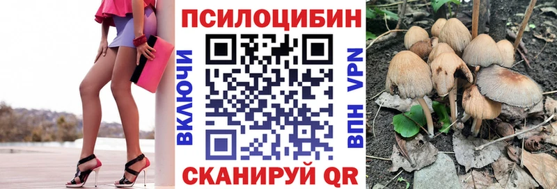 магазин продажи   Белогорск  Псилоцибиновые грибы ЛСД 
